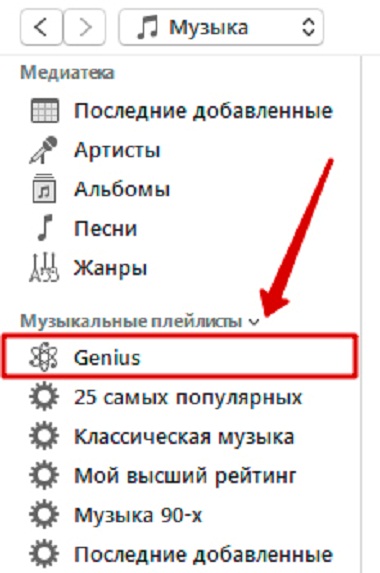 iTunes Genius Playlist
