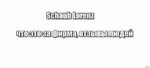 Schaub Lorenz: что это за фирма, отзывы людей